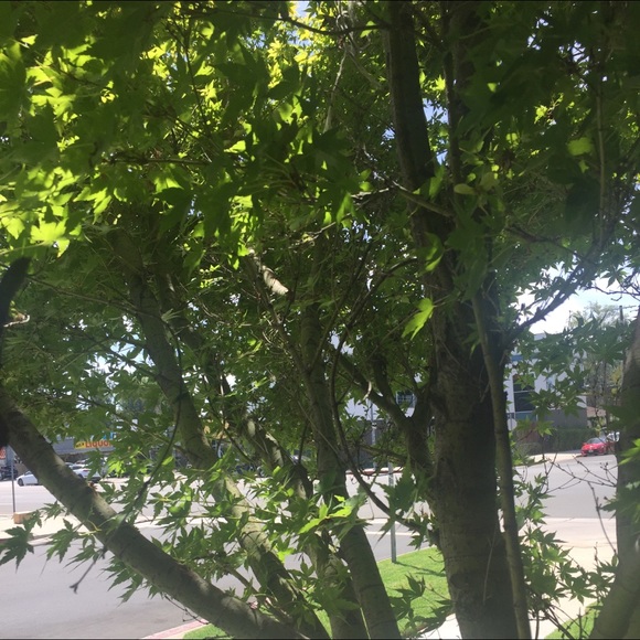 Meet your Posher, Bryan - Picture 1 of 1